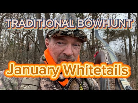 Traditional Bowhunting January Whitetails! Taking Out The Boss Doe