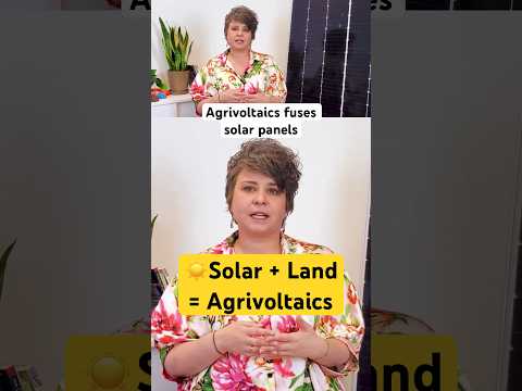 What is Agrivoltaics? #agrivoltaics  #SolarFarms #communitysolar