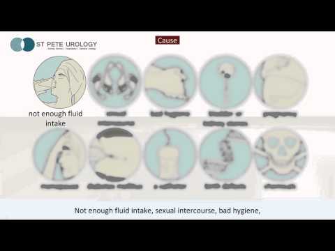 Urinary Tract Infection on Adults by St Pete Urology