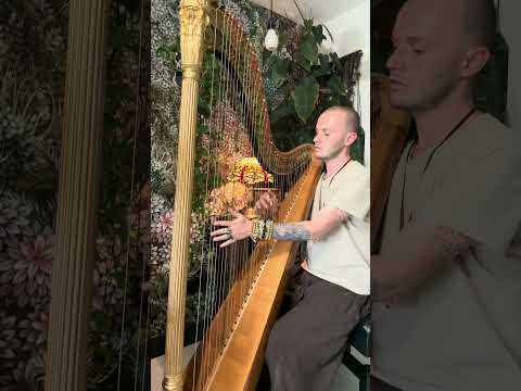 A Rare Treasure - Peaceful Reflections - Meditation Music - 203 Year Old Pedal Harp🌿 #shorts