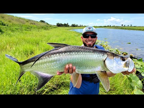 Tarpon Fishing in a Pond - EPIC Fishing Adventure