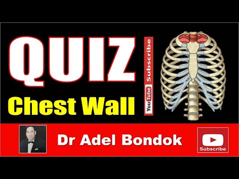 Quiz on the Chest Wall Anatomy, Dr Adel Bondok Making Anatomy Easy