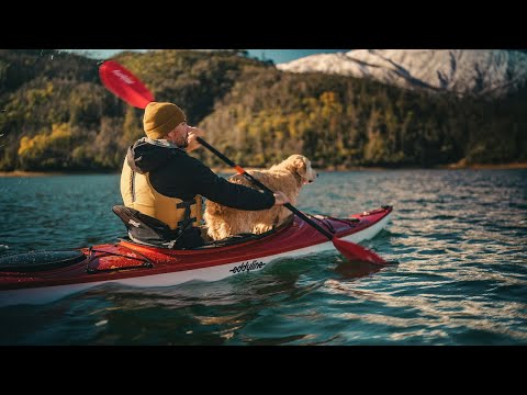 Dax, Shop Dog | A Headwaters Kayak Short Film