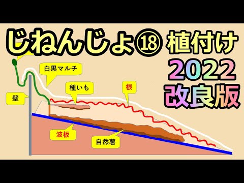 【楽々】波板自然薯ななめ栽培⑱ 植え付け 畝の大移動 2022の改良