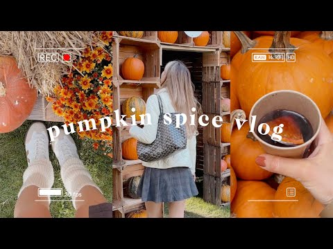 the ultimate fall day 🍂 pumpkin patch, cozy autumn morning, groceries shop with me