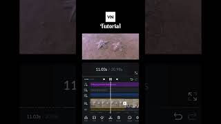 VN tutorial #vn #vnvideoeditor #cinematography #videoeditingtutorils