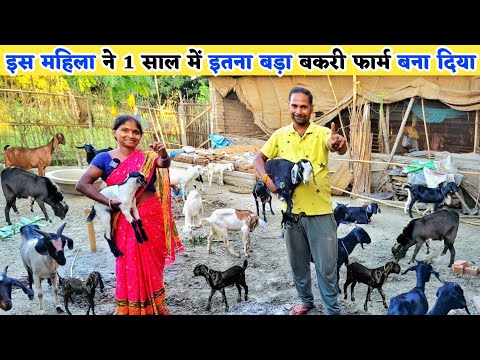 बकरी पालन के साथ तीन गुणा कमाई करते हैं | Desi goat farming kaise karen | Bakri palan