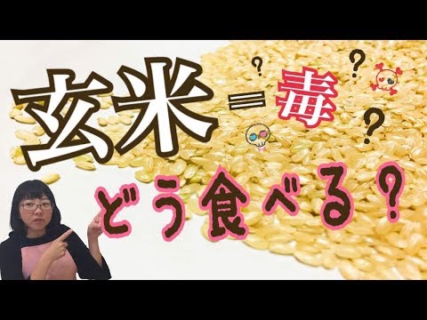 玄米は毒って本当？正しい調理法&食べ方とは？