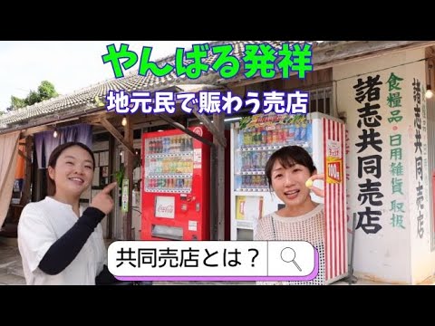 【ディープな沖縄】やんばる発祥の共同売店とは！？