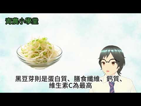 青農小學堂-豆芽篇