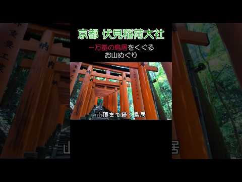 一万基の鳥居！伏見稲荷大社お山めぐりに挑戦　#伏見稲荷大社 #千本鳥居 #京都 #vlog #shorts #40代女性 #旅行 #shorts