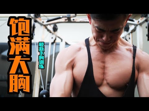 【如何练出饱满大胸】最新下胸训练!我最喜欢的动漫作品!.The Discipline Series. Ep15