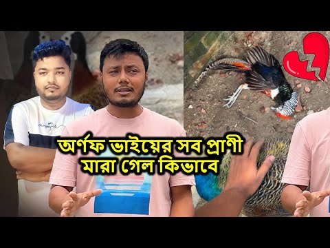 হঠাৎ করে অর্ণফ ভাইয়ের সব প্রাণী মারা গেল কিভাবে? | একদিনেই চিড়িয়াখানার সব শেষ