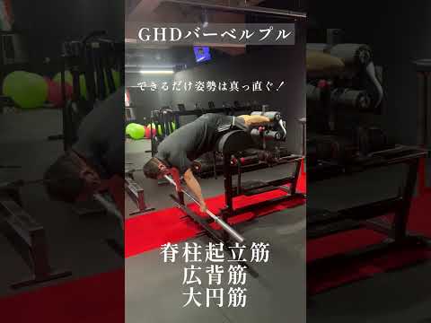 GHDを用いたトレーニング⑤GHDバーベルプル