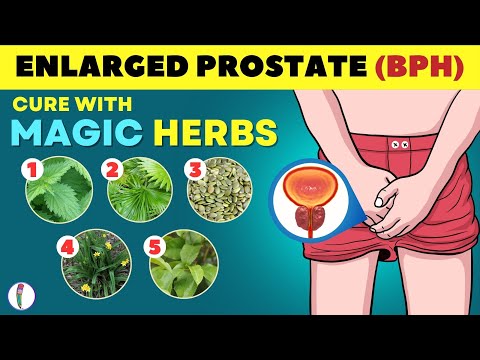 🔥 Magic Herbs to Cure Enlarged Prostate | Prostate enlargement Treatment | BPH Treatment