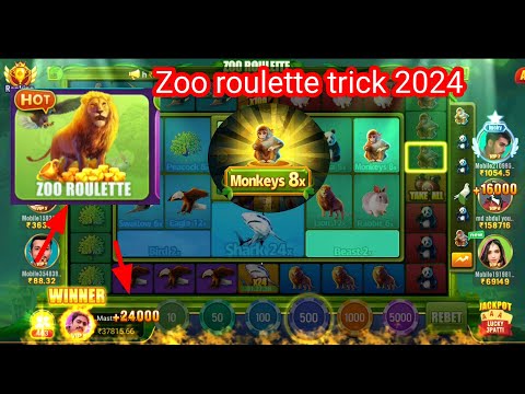 zoo roulette trick today/ zoo roulette winning tricks 2024/ zoo roulette game kaise khele