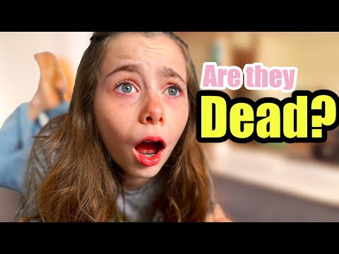 Did My Parents Actually DIE?!😰 Part 4: HUGE UPDATE!💔