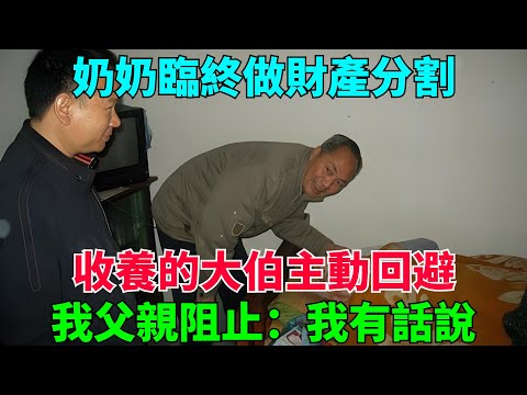 奶奶臨終做財產分割，收養的大伯主動回避，我父親阻止：我有話說【流星奇聞】#奇聞#故事#奇聞觀察室#案件解讀#情感#家庭矛盾