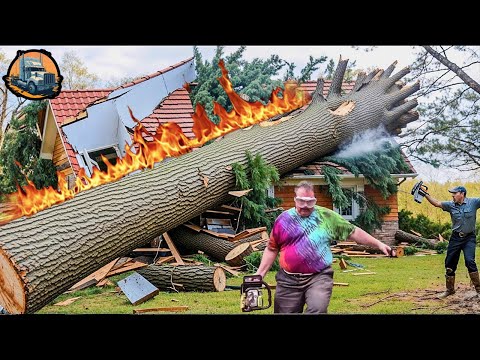 Dangerous Fastest Idiots Cutting Tree Fails Skill With Chainsaw - Idiots Driving Heavy Machinery #26