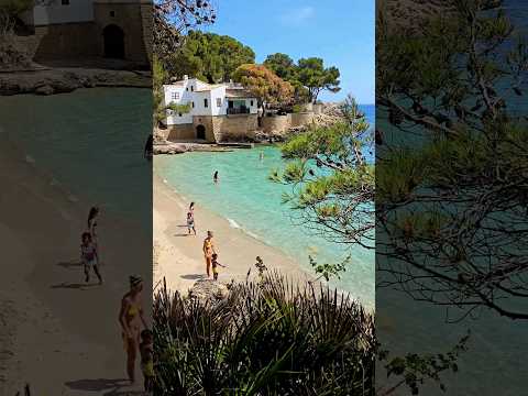 Cala Gat 🩵 Cala Ratjada 🩵 Mallorca 🏝 #majorca #mallorca #paradise #love