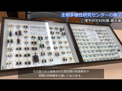 生物多様性研究センター紹介動画