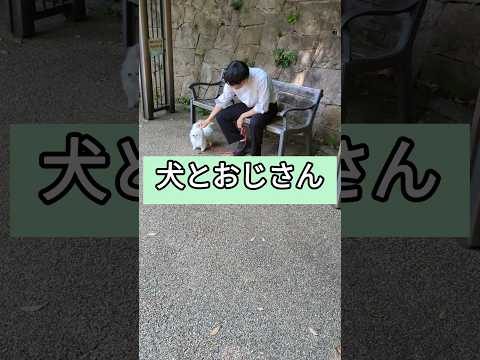 犬とおじさん　#お笑い #コント #犬 #犬のいる暮らし #ほろよい飯店