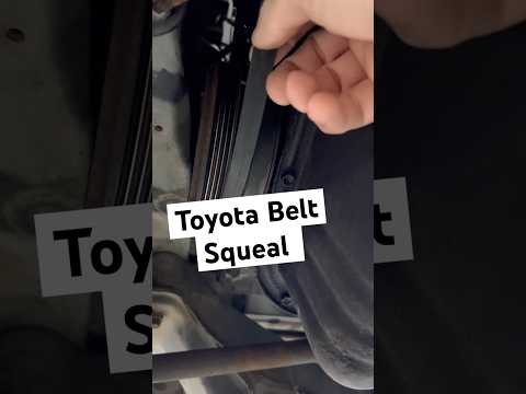 Toyota Mr2 belt noise was not what I expected. #mechanic #automotive