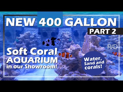 400 GALLON SOFT CORAL AQUARIUM IN OUR REEF AQUARIA DESIGN SHOWROOM. PART 2.