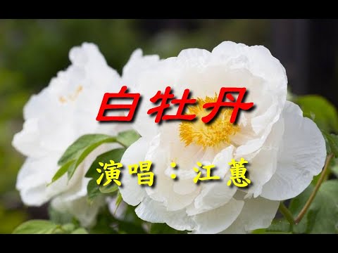 白牡丹                                                                                江蕙     演唱