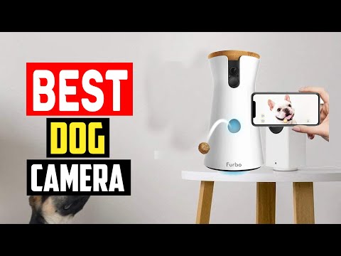 Top 5 Best Dog Camera in 2023