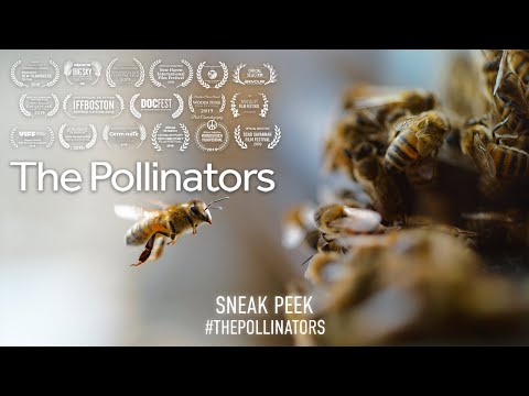 The Pollinators (2020) | Sneak Peek 1