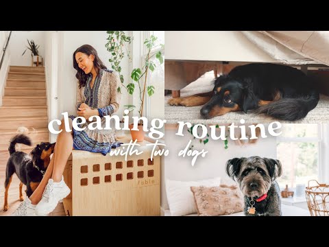 🐾 Dog Cleaning Routine | Managing Dog Hair, Organization, & Favorite Products