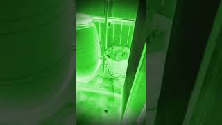 #scary #ghost #ghostattack #viralvideo #realghost