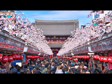 Best Way to Enjoy Asakusa in 2024 | Japan Travel