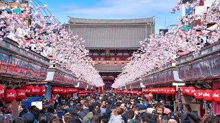 Best Way to Enjoy Asakusa in 2024 | Japan Travel