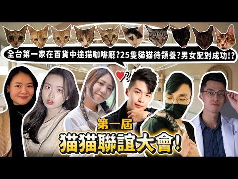 第一屆寵物聯誼!全台第一間在百貨公司的中途貓咖啡廳!25隻貓等待領養!曖昧戀愛!會把貓帶走嗎?【許伯簡芝】