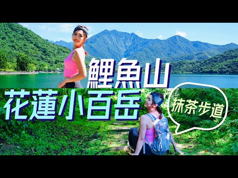 花蓮小百岳【鯉魚山】⛰️抹茶步道綠地毯🍃鯉魚潭真的像鯉魚嗎?🐟吃壽豐美食好幸福🍧