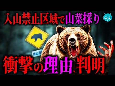 【新常識】クマに襲われる山で山菜採りが止まらない本当の理由