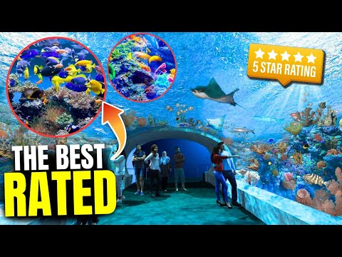 These Are The 10 BEST Aquariums In USA