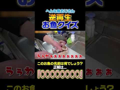 【逆再生お魚クイズ】世界一○○なこのお魚はなんでしょう？！難易度★8#shorts   #seafood #食テロ #asmr ＃逆再生 #お魚クイズ