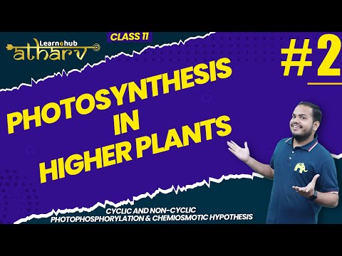 Photosynthesis in Higher Plants Class 11 Biology NCERT Chapter 10 #2  | Atharv Batch