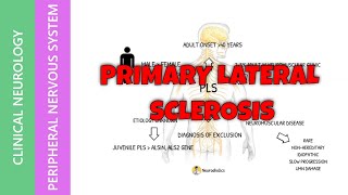 Pimary Lateral Sclerosis | Causes | Diagnosis | Treatment |  How to understand PLS? | Neuroaholics