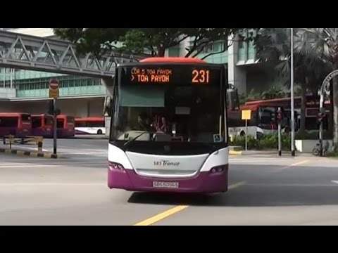 FROM TOA PAYOH MRT TO TIAN LU ZHI JIA BY BUS