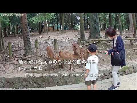 Visit to Ancient capital of  Nara   NO1「奈良旅　その１」　JR奈良駅から、歩いての午前中に行くことができる奈良市内をお伝えします。古都奈良を堪能しました。