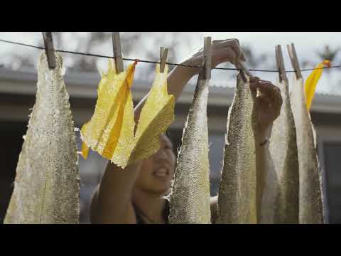 Making Traditional Fish Leather in Hawai‘i with @janeychangart