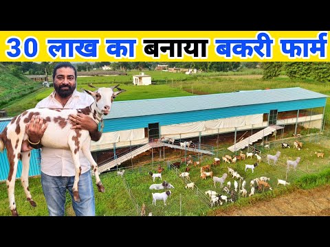 नौकरी छोड़ बनाया 30 लाख का बकरी फॉर्म | Hitech goat farm in india