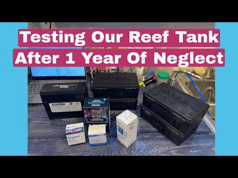 Testing Alkalinity And Calcium On Our Neglected Reef Tank - One Year Later (Future Plans Also)