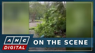 LOOK: Fierce winds topple plants, damage roofs in Aurora, Isabela amid 'Nika' landfall | ANC