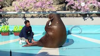 Marine Palace 海之卵水族館