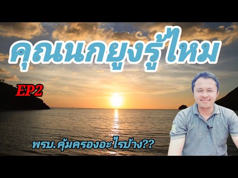 คุณนกยูงรู้ไหมEP2